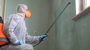 Best Mold Remediation for Healthcare Facilities  in Honesdale, PA